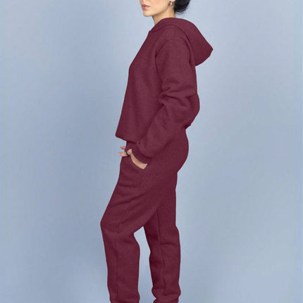 Conjunto Moletom com Capuz Flanelado Liso